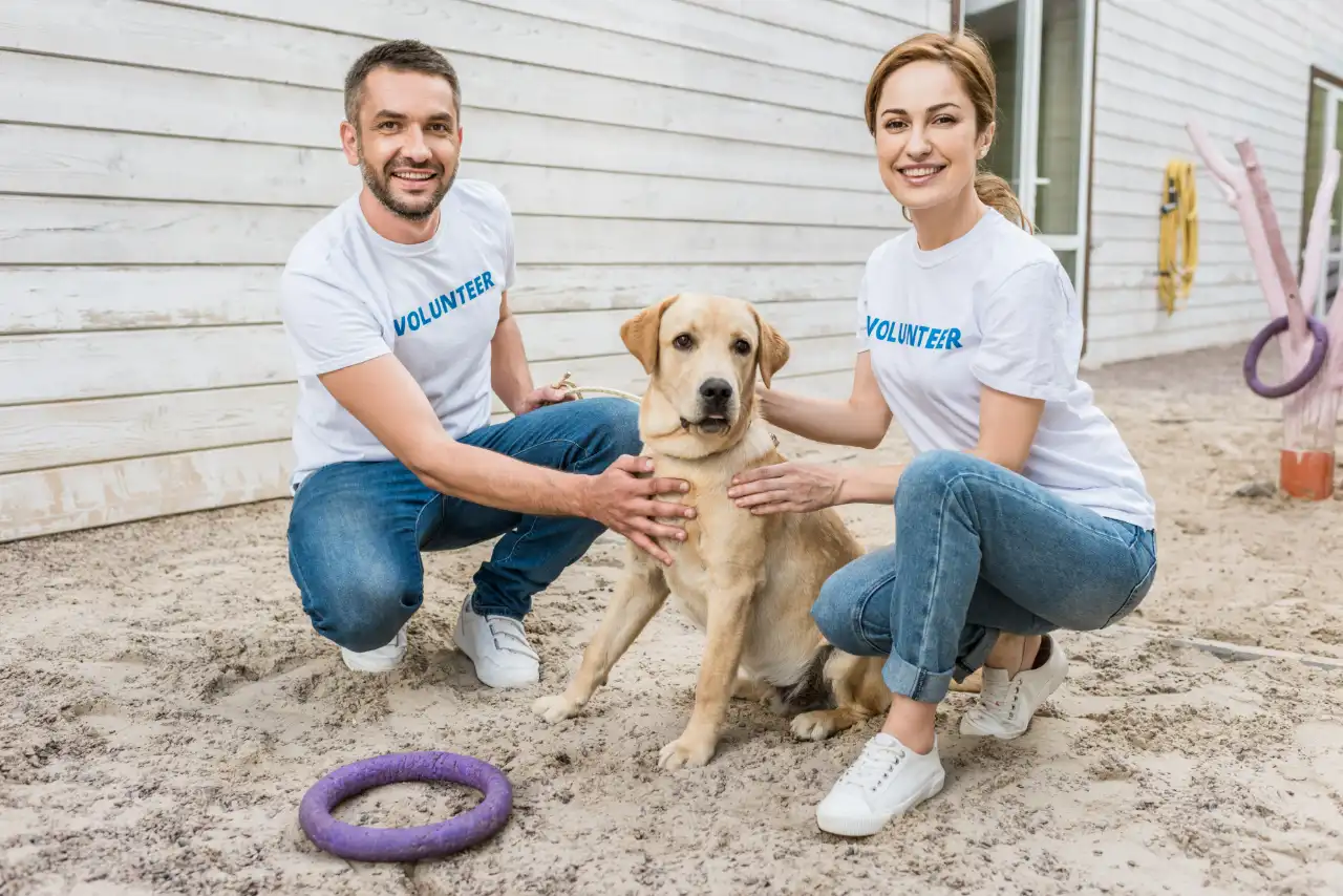 BarkScoop volunteers with a rescue Labrador at a Chicago shelter